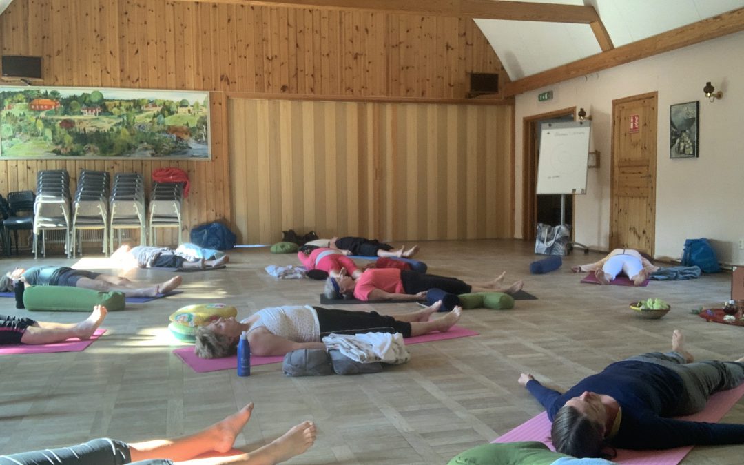 Kurs vs Drop-in Yoga